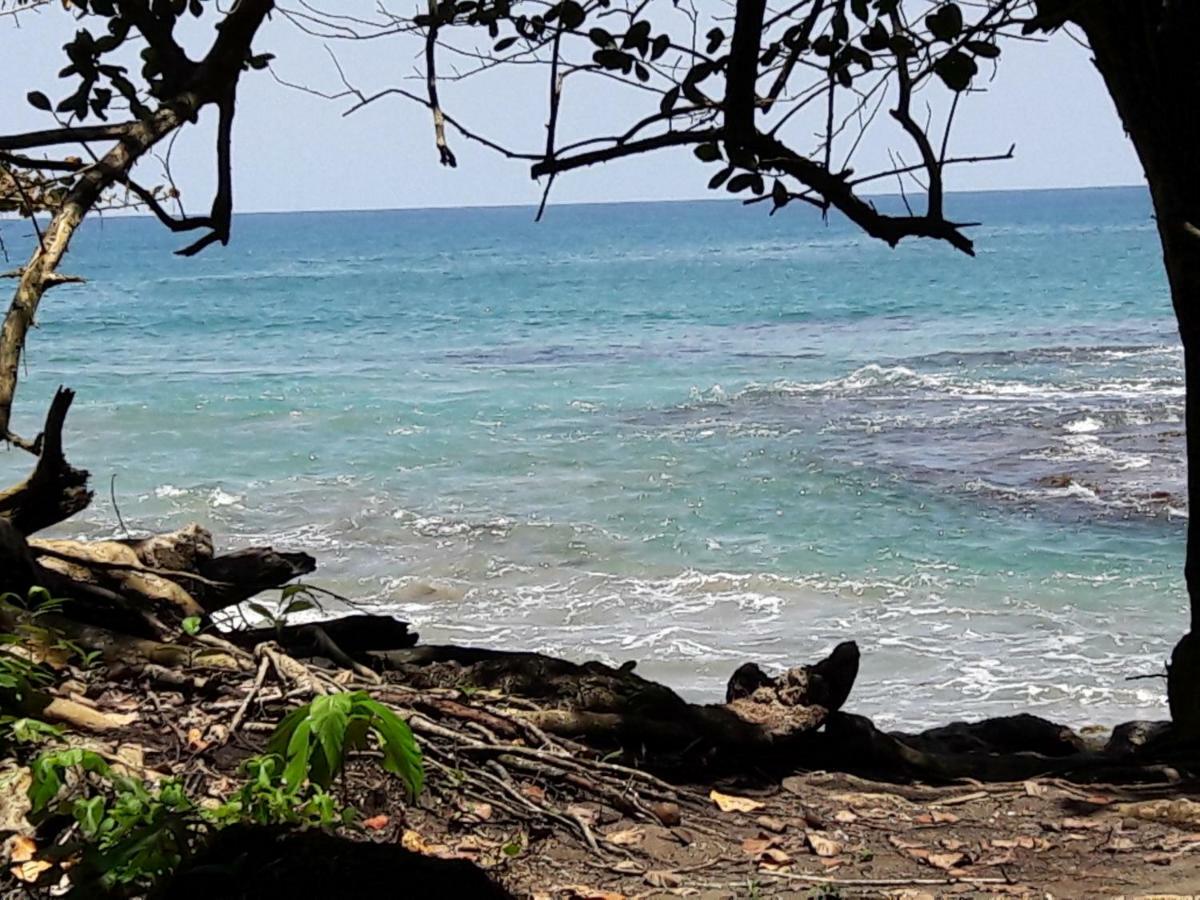 Hotel Casa Conley Del Mar Puerto Viejo de Talamanca المظهر الخارجي الصورة