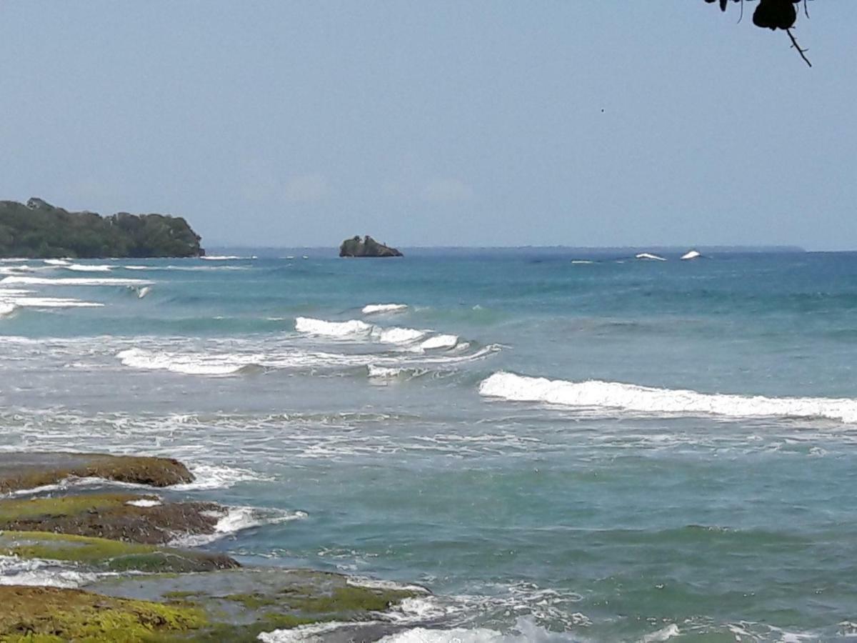 Hotel Casa Conley Del Mar Puerto Viejo de Talamanca المظهر الخارجي الصورة