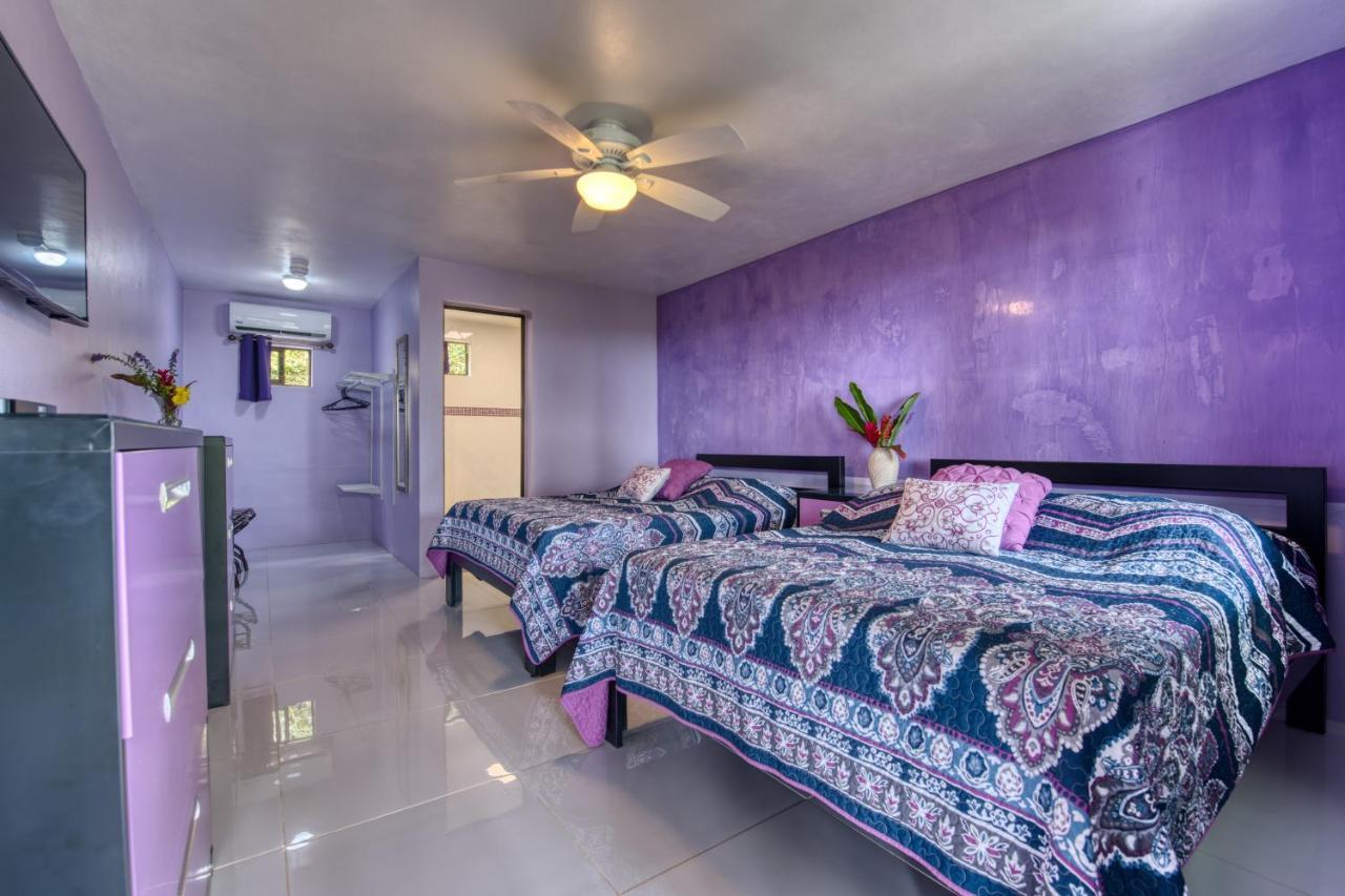 Hotel Casa Conley Del Mar Puerto Viejo de Talamanca المظهر الخارجي الصورة