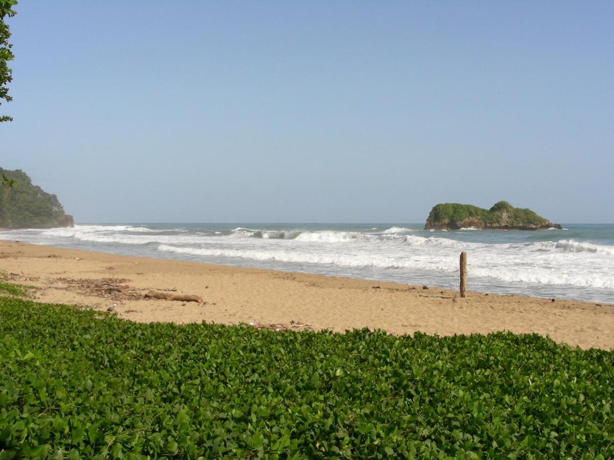 Hotel Casa Conley Del Mar Puerto Viejo de Talamanca المظهر الخارجي الصورة